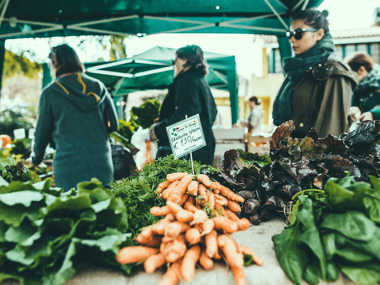 Mercado Biológico de Telheiras aos sábados - Quiosque da Natureza